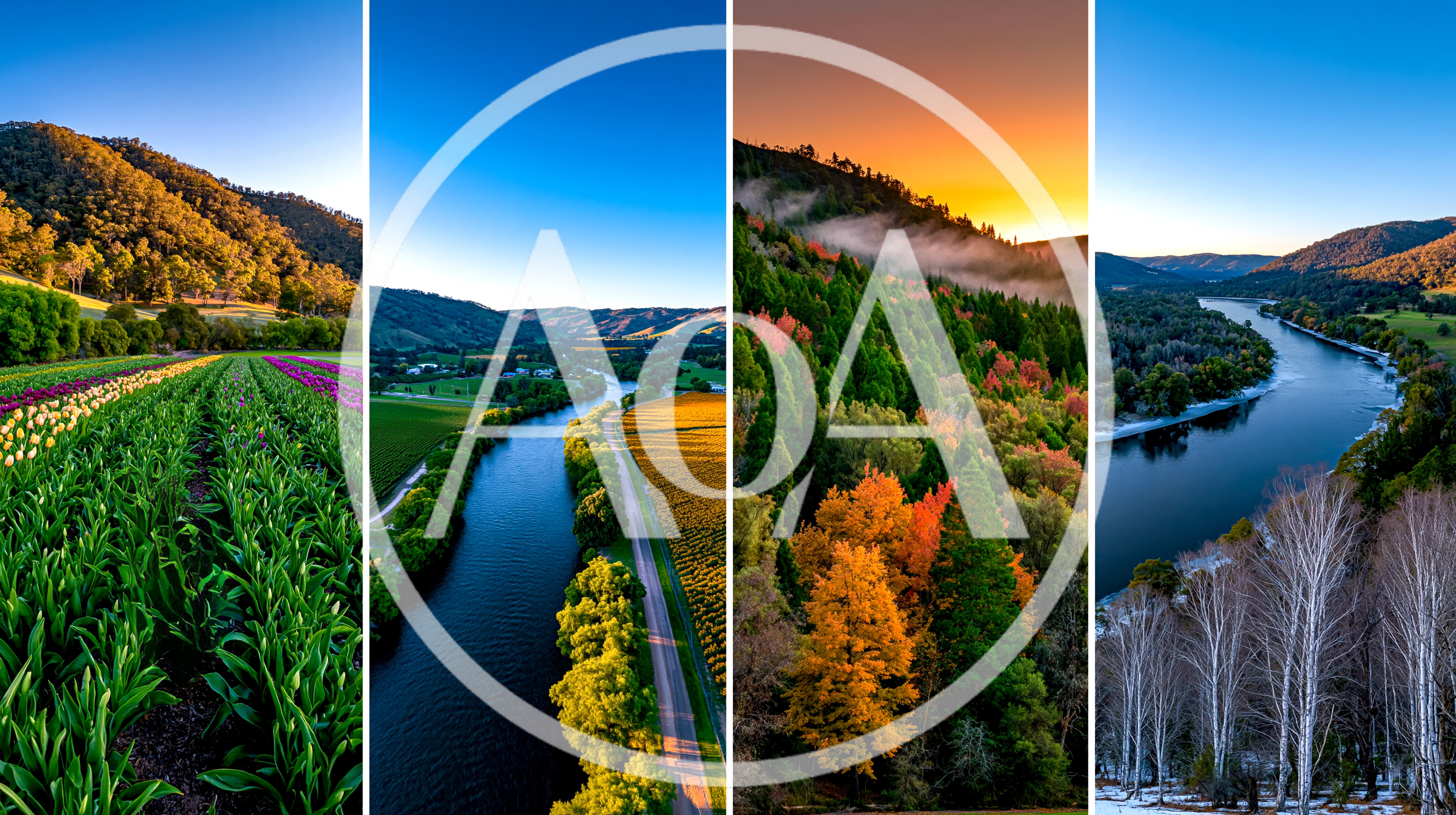 Four Seasons Landscape Collage Featuring River And Forest