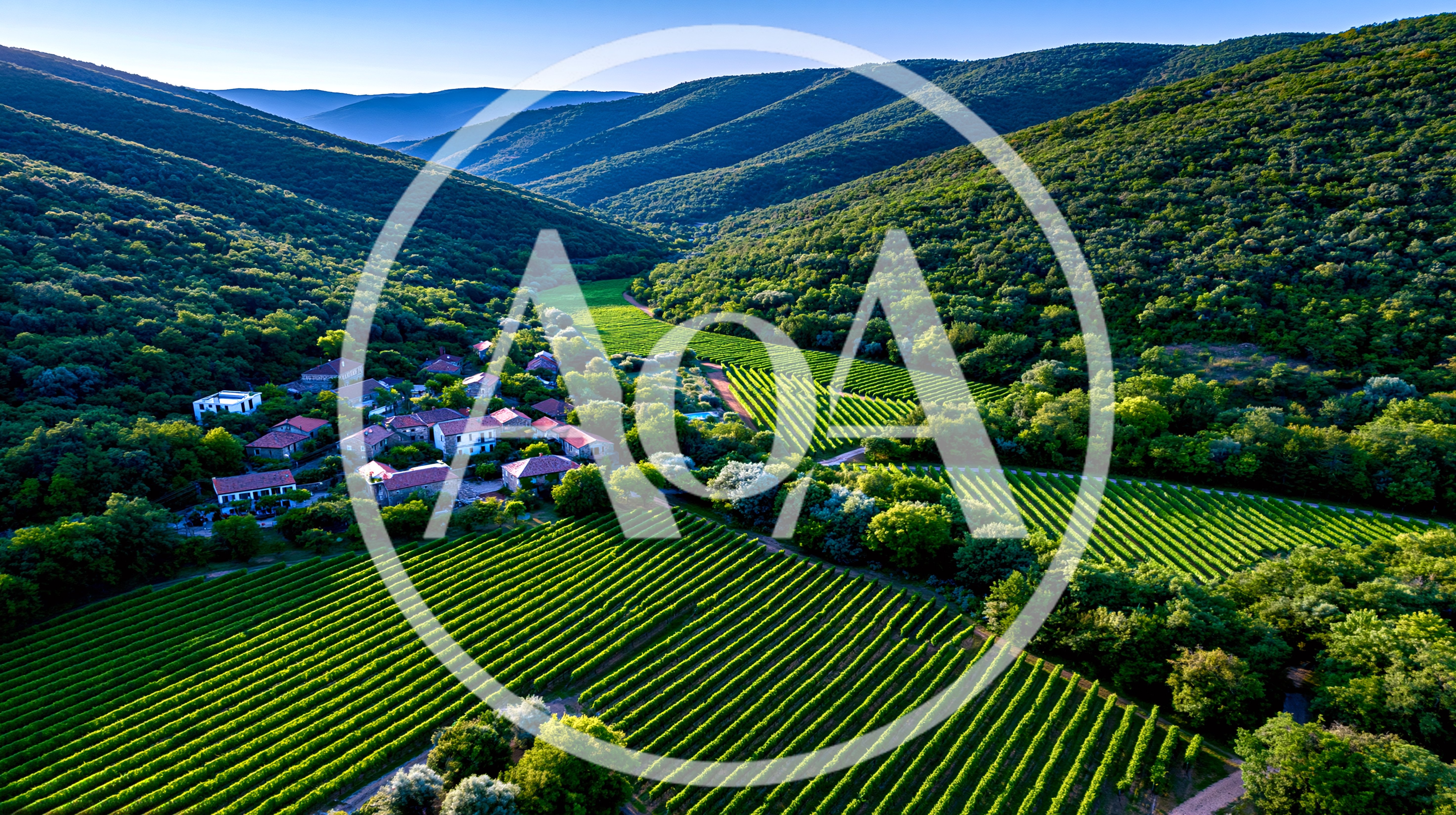 Aerial View Of A Vineyard In A Mountain Valley