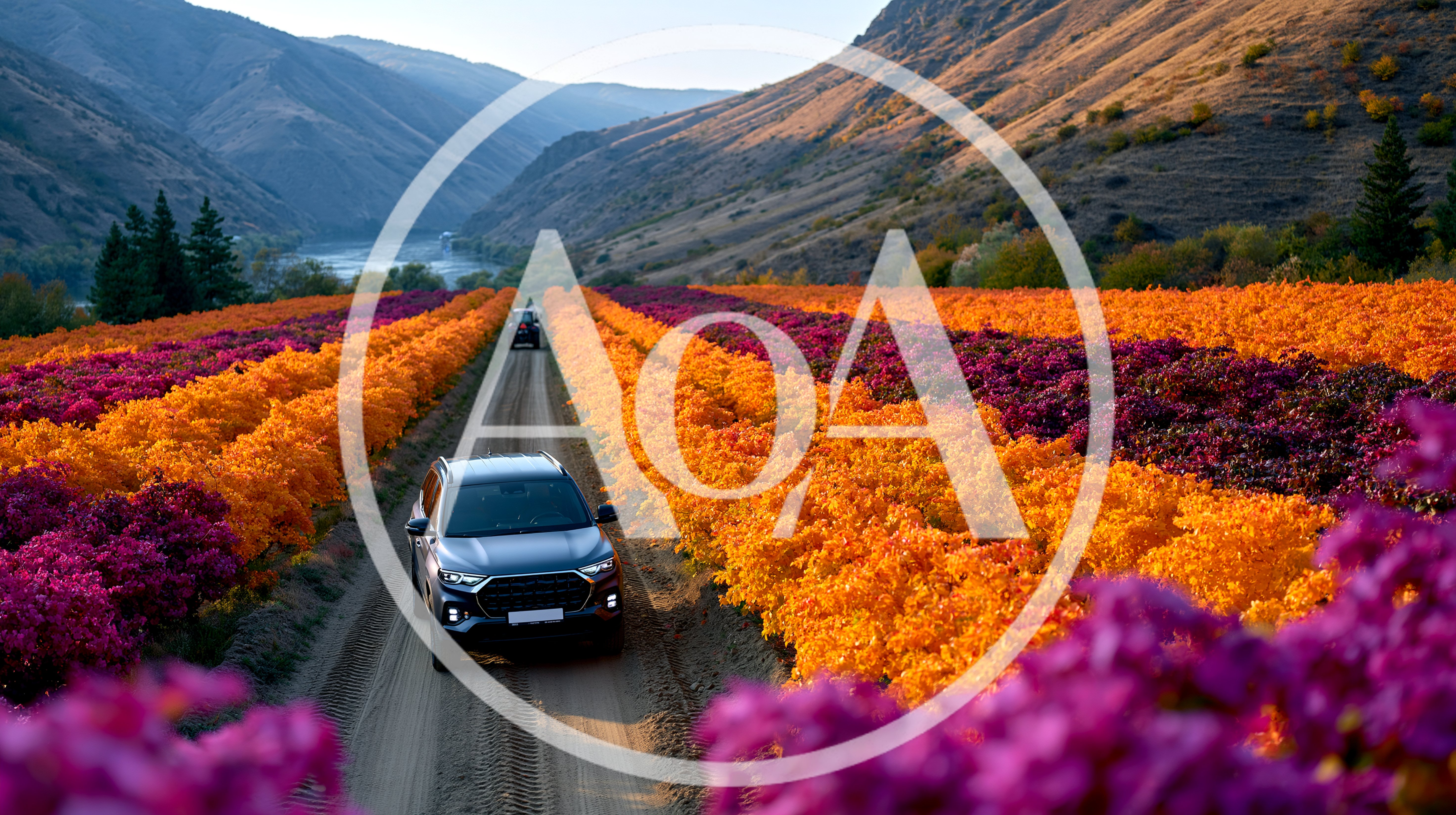 Silver SUV Driving Through Vibrant Autumn Flower Fields