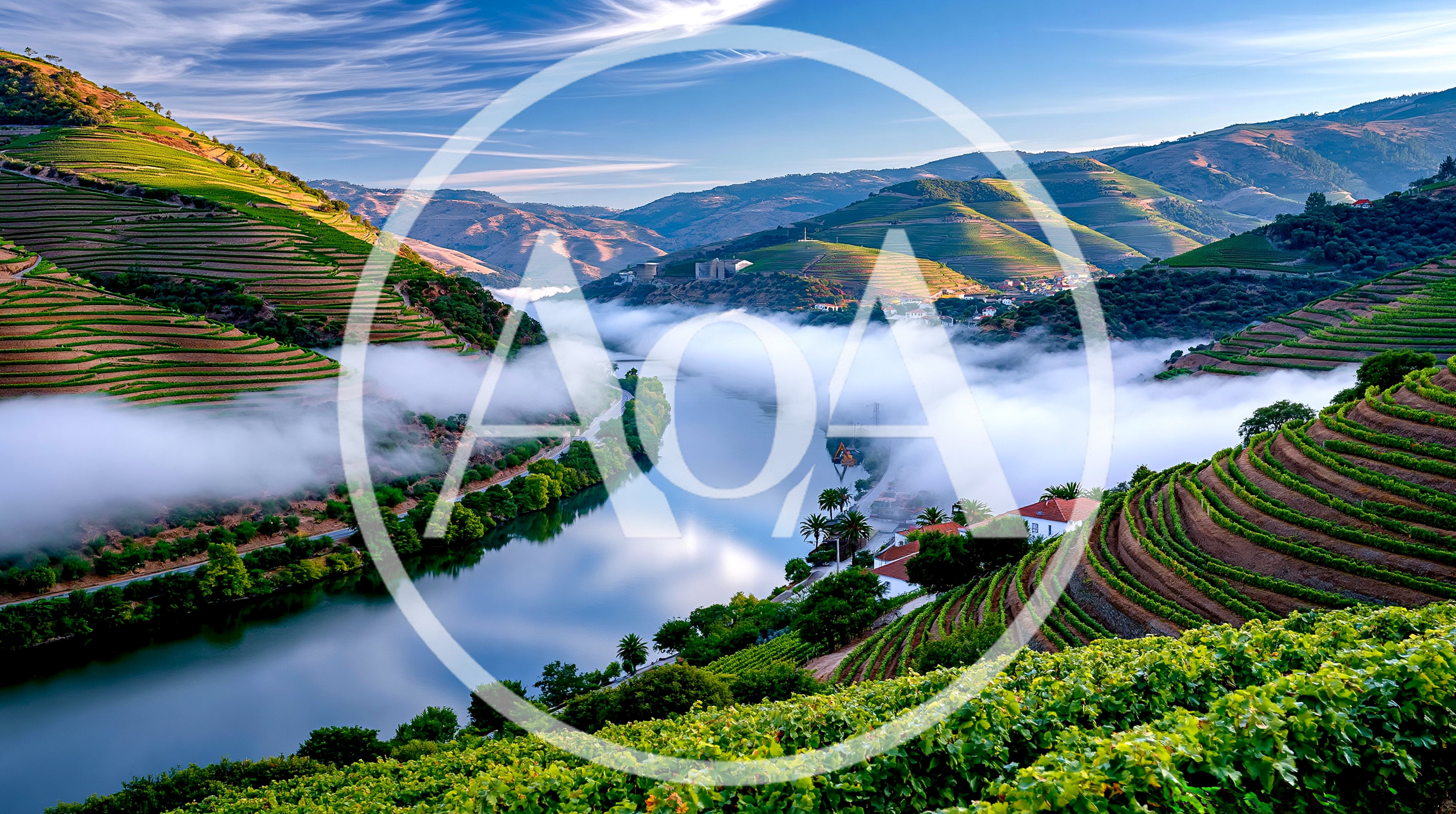 Terraced Vineyards Overlooking The Douro River Valley