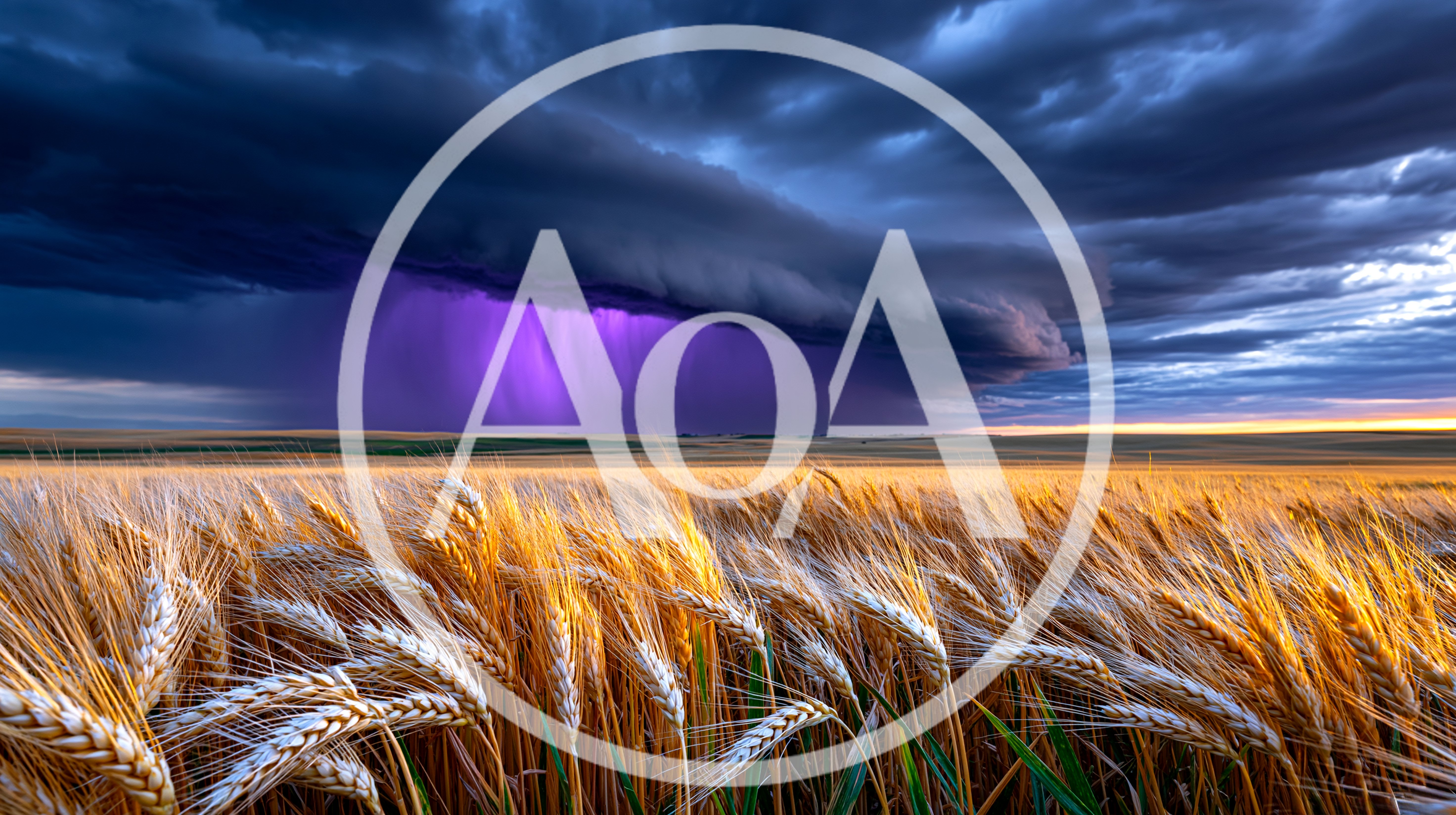 Dramatic Storm Clouds Over Golden Wheat Field