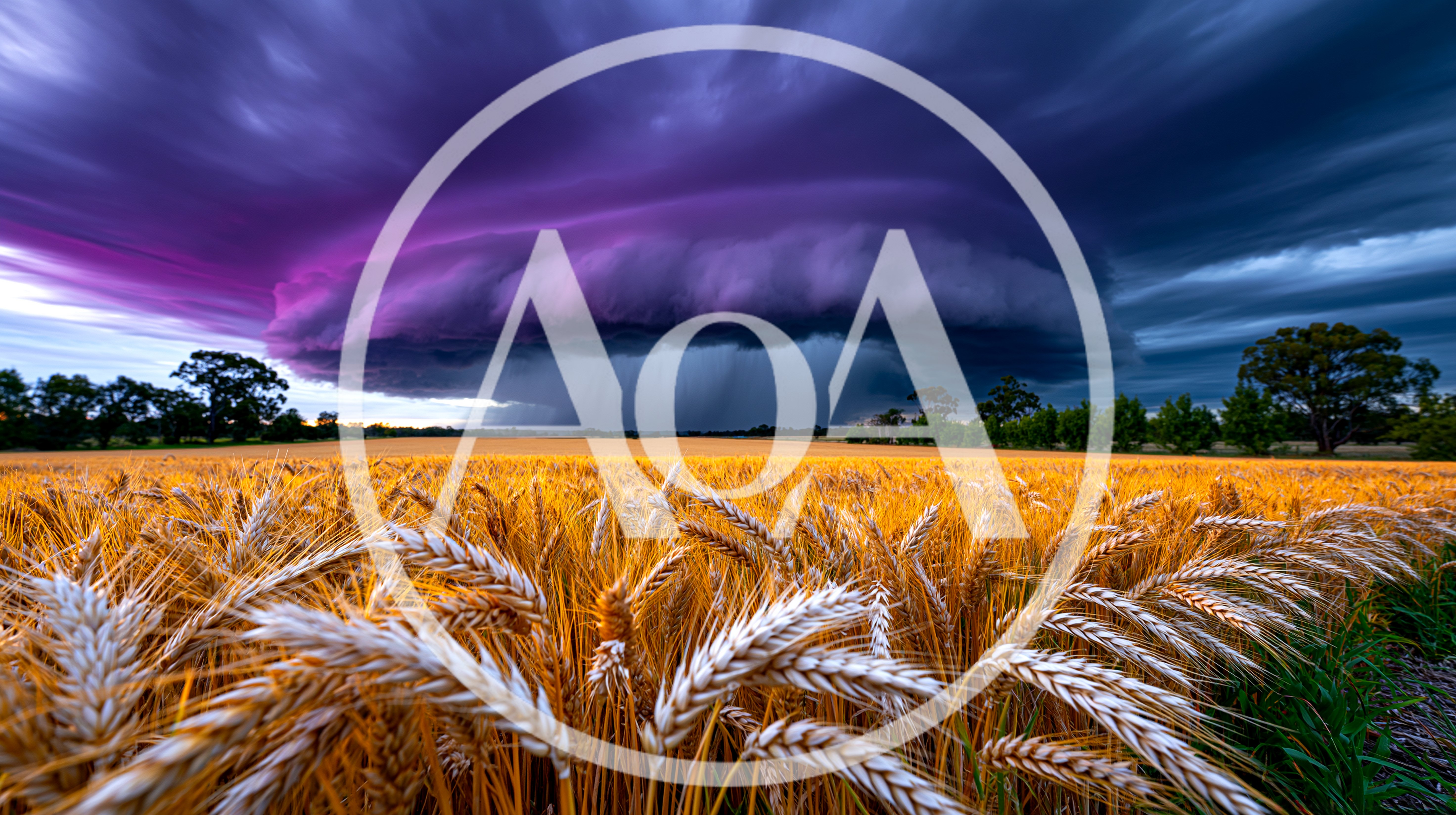 Dramatic Supercell Storm Cloud Over Golden Wheat Field