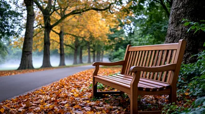 Wooden Bench In A Misty Autumn Park