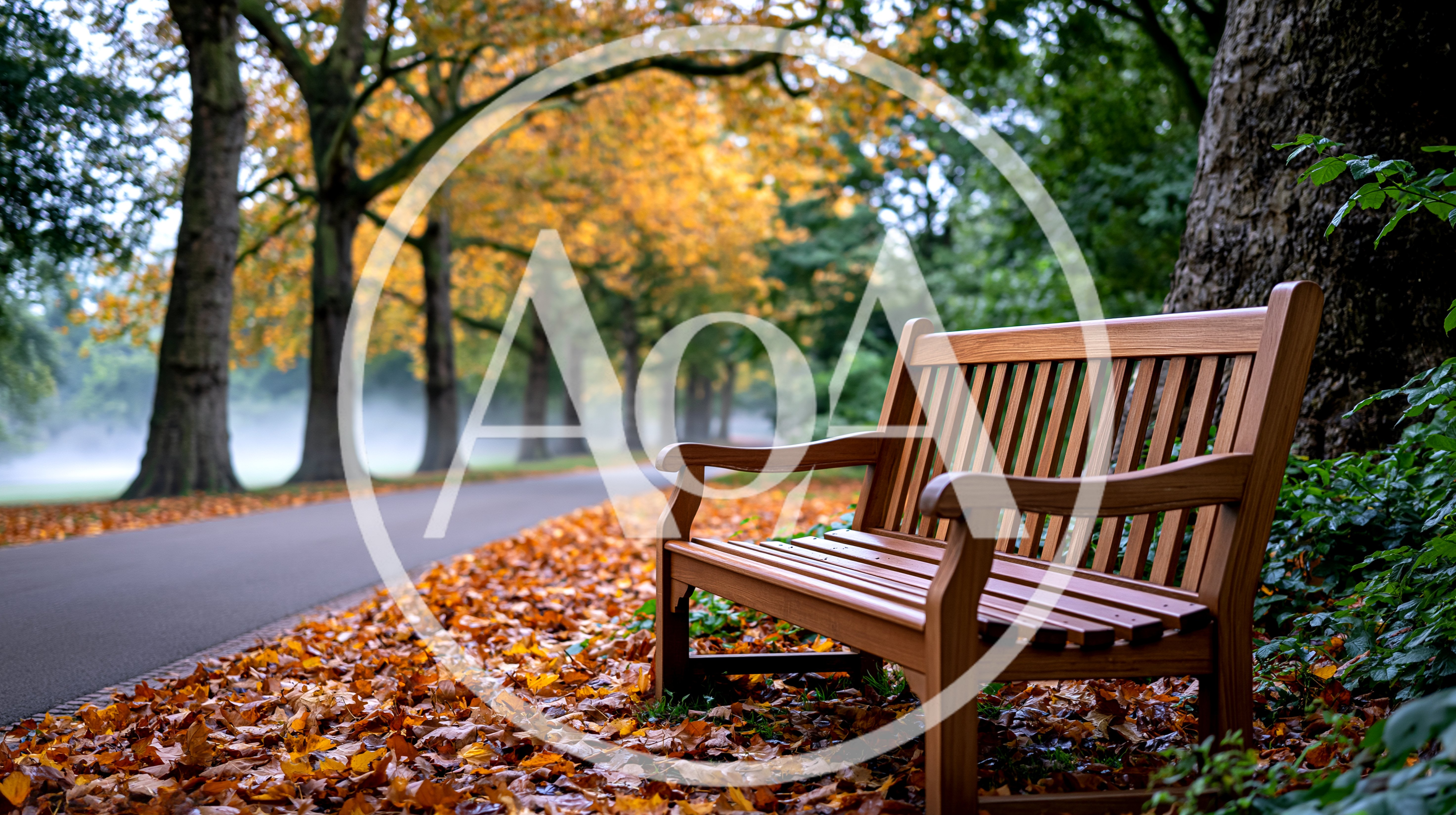 Wooden Bench In A Misty Autumn Park