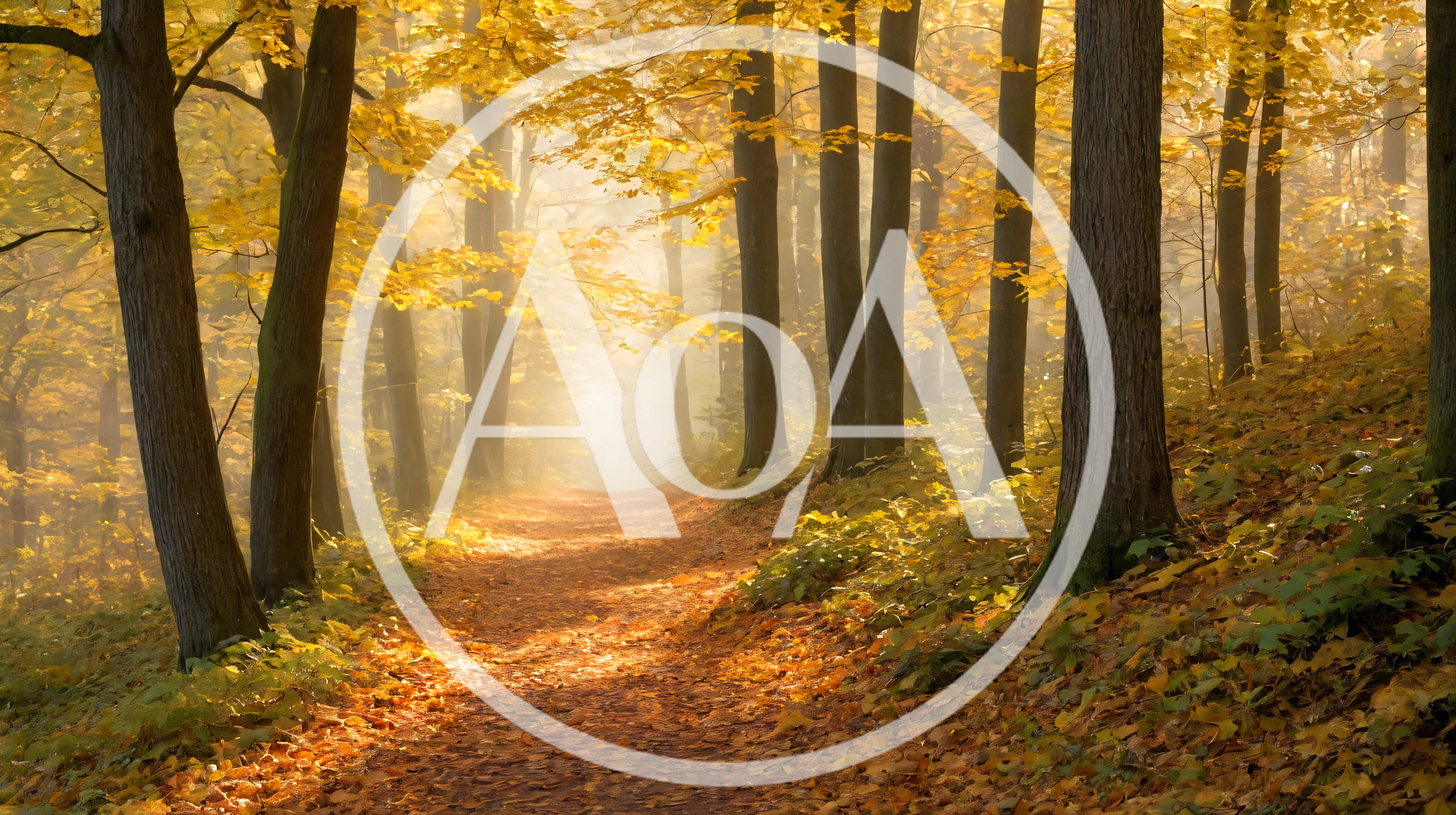 Golden Autumn Forest Path With Morning Mist
