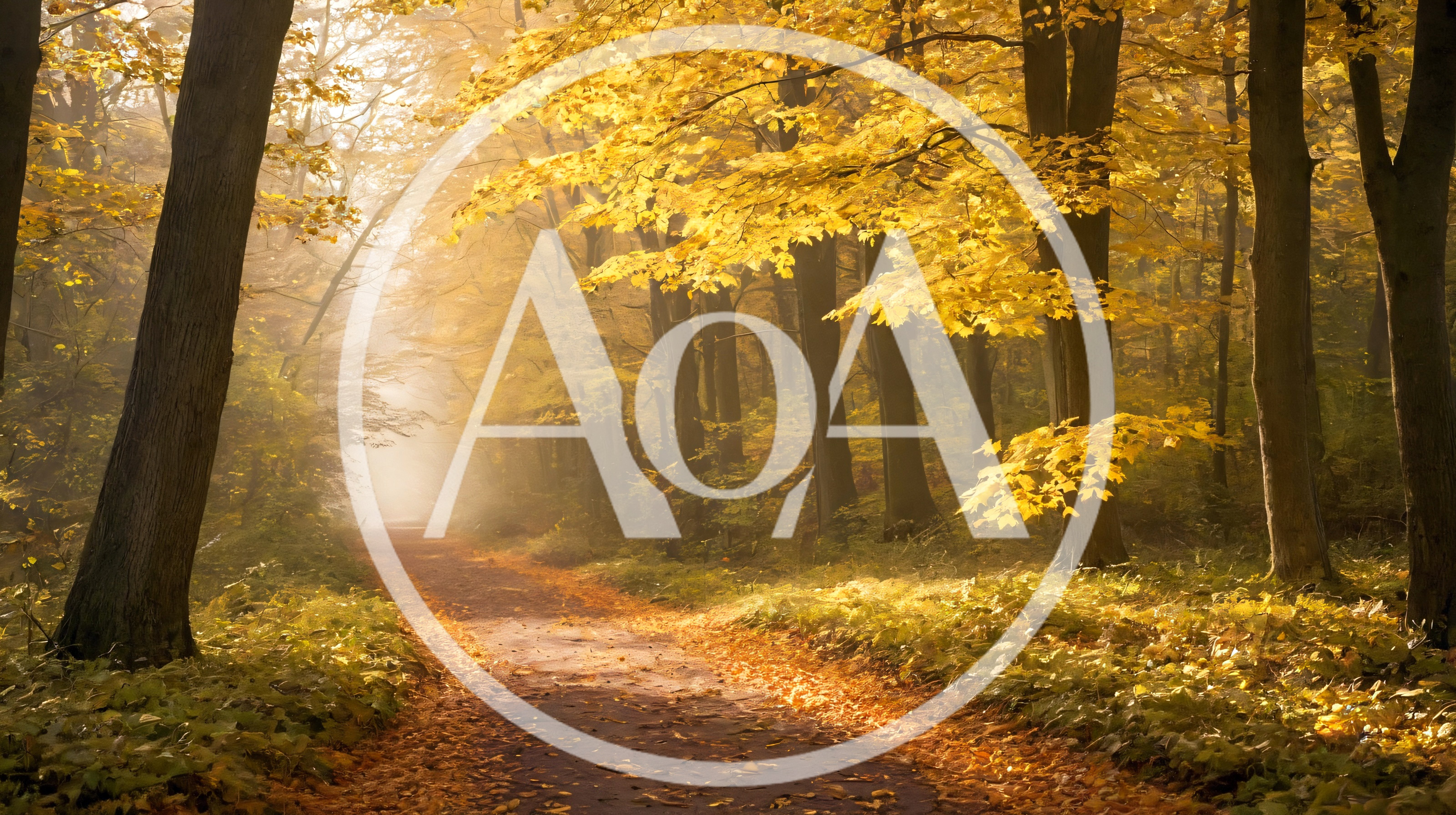 Golden Autumn Forest Path With Morning Mist