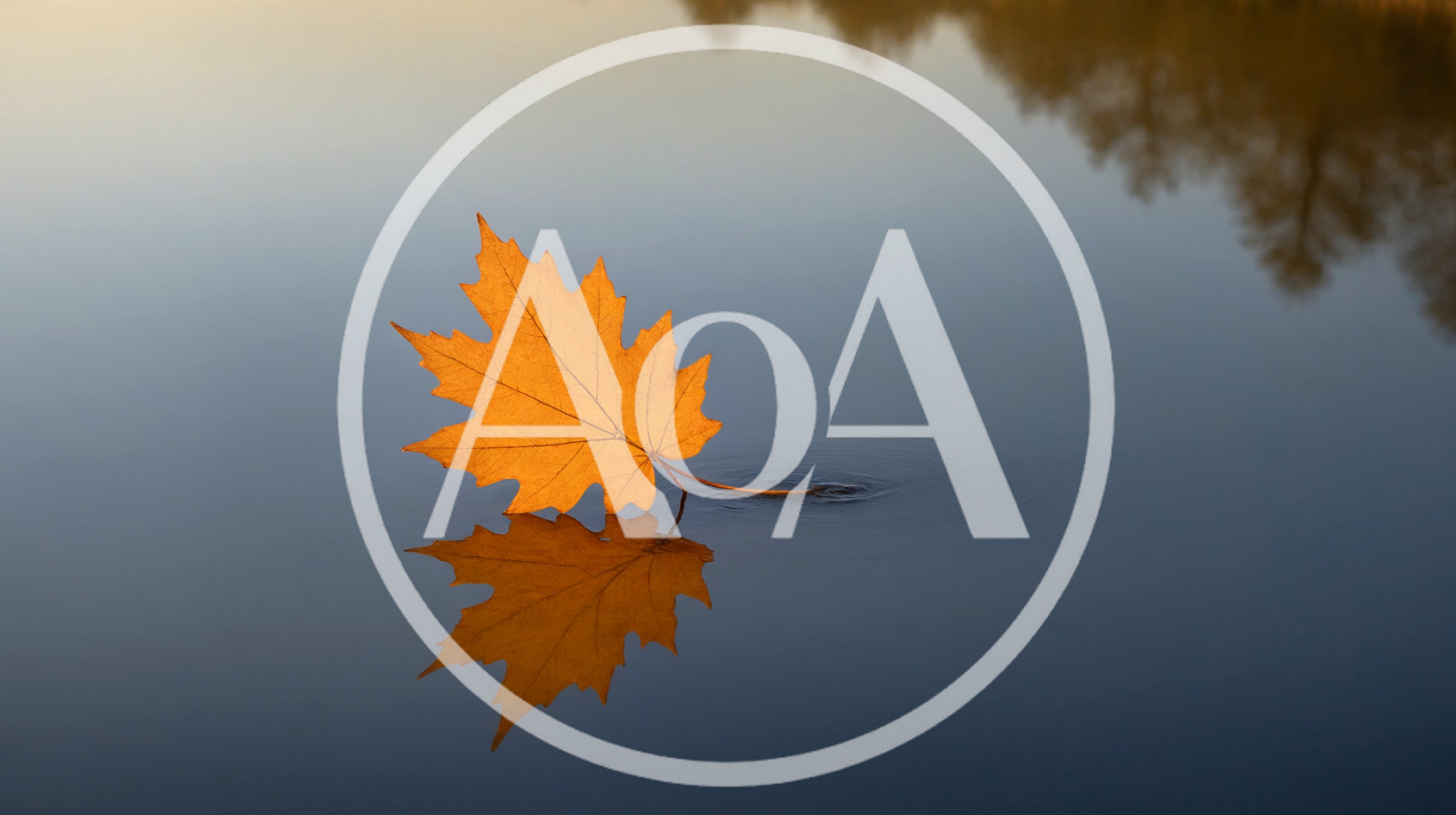 Single Orange Maple Leaf Floating On Calm Water