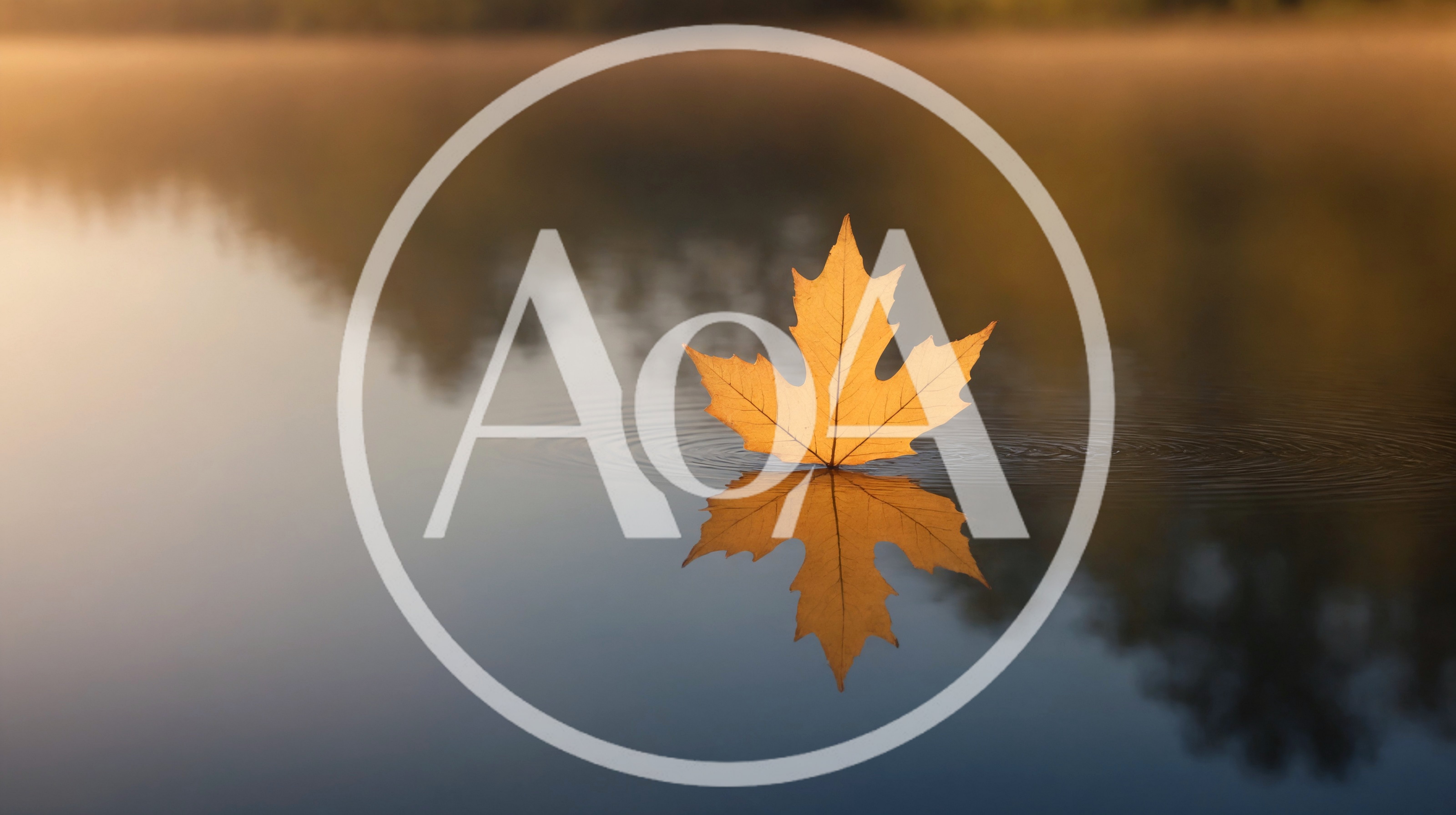Single Golden Maple Leaf Floating On Calm Lake