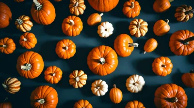 Top View Of Assorted Pumpkins On Dark Background