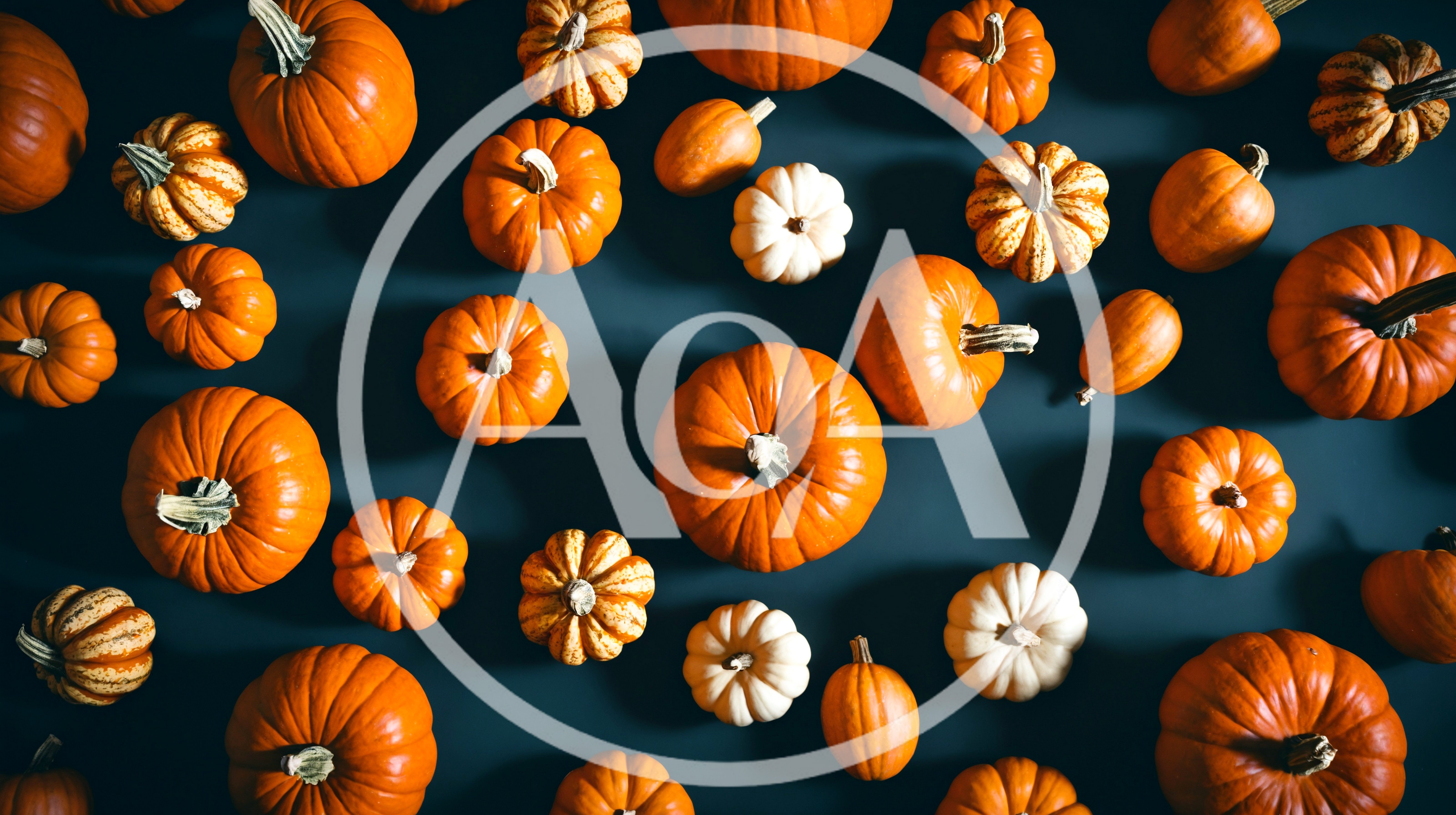 Top View Of Assorted Pumpkins On Dark Background