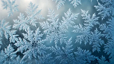 Intricate Frost Patterns On A Cold Window Pane