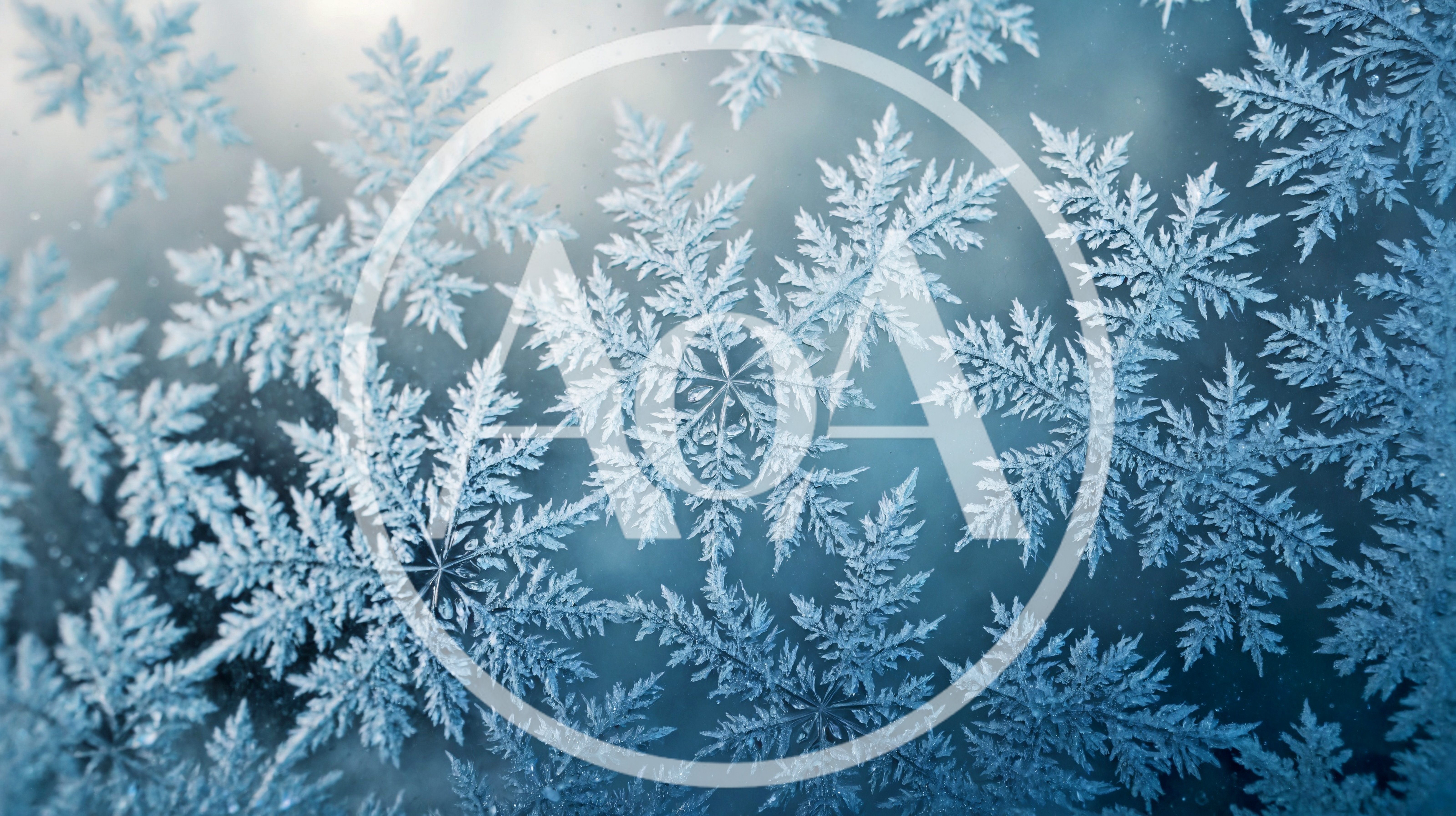 Intricate Frost Patterns On A Cold Window Pane