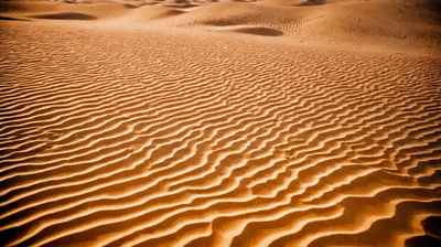 Rippled Sand Dunes In The Sahara Desert