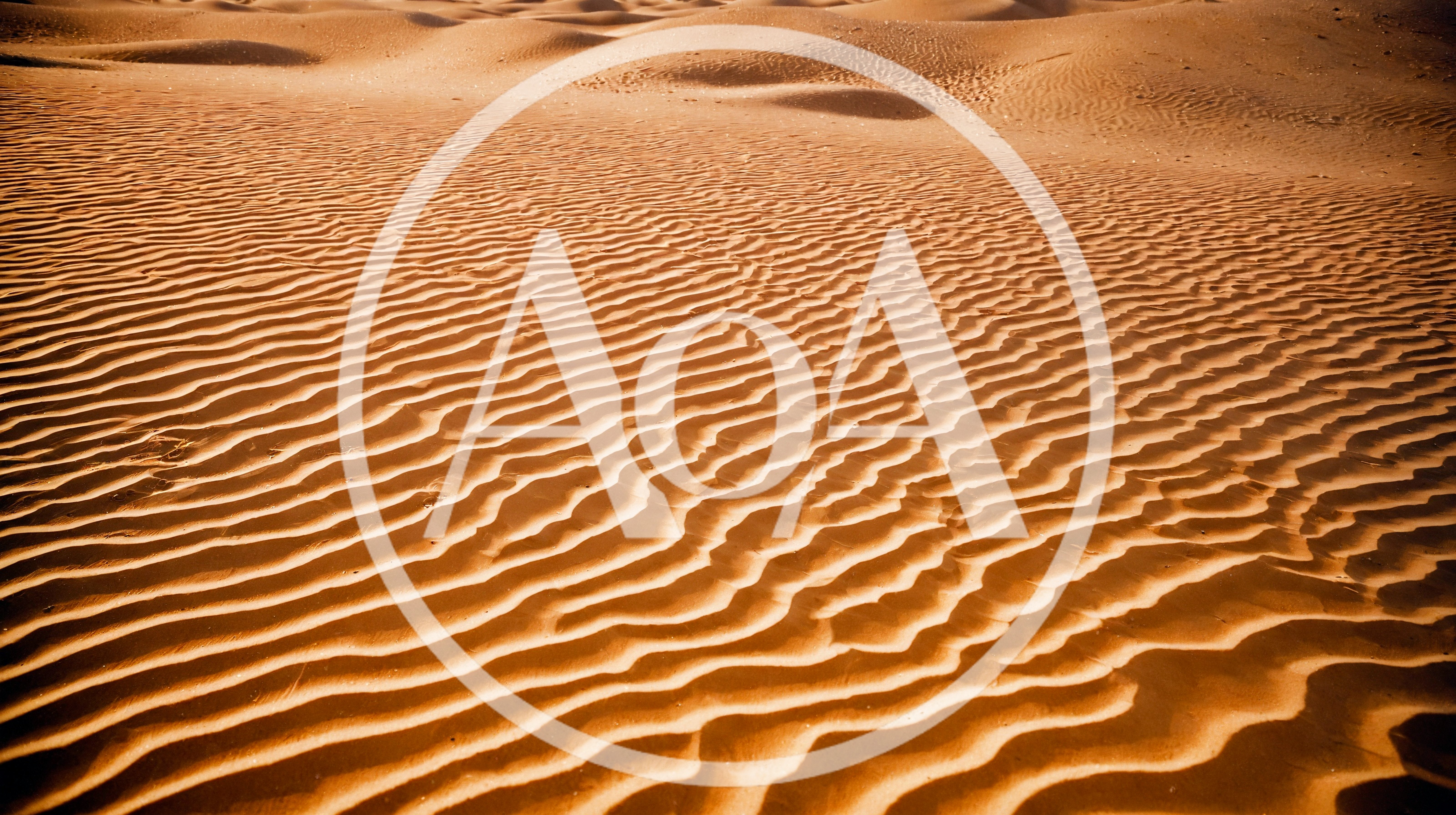 Rippled Sand Dunes In The Sahara Desert
