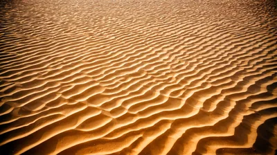 Rippled Sand Dunes Texture In The Desert