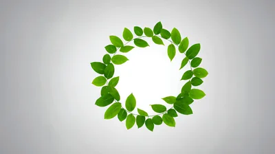 Green Leaf Wreath Frame on White Background