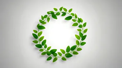 Green Leafy Wreath Circle Frame Animation