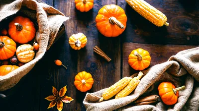 Autumn Harvest Pumpkins And Corn On Rustic Wood