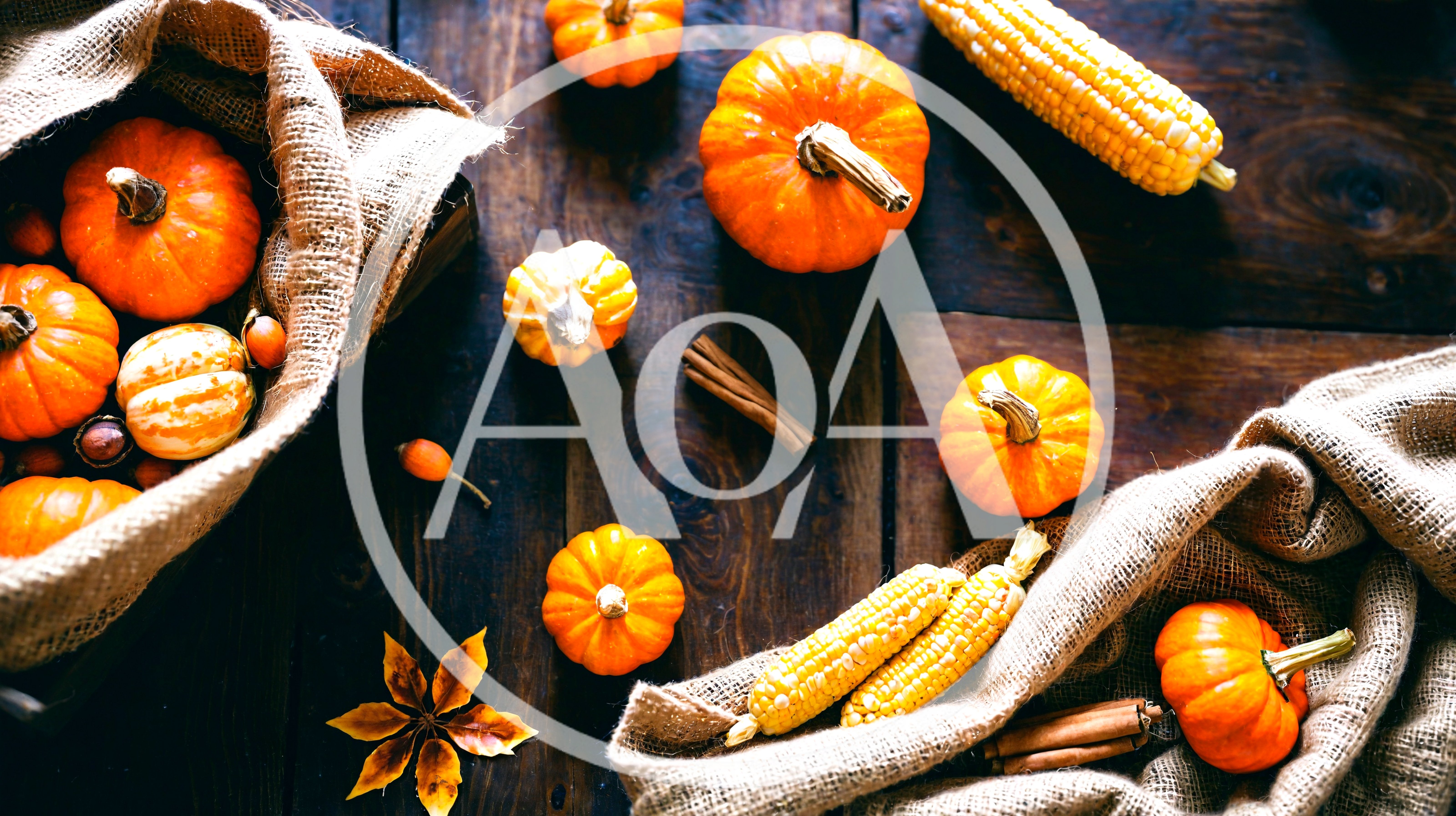 Autumn Harvest Pumpkins And Corn On Rustic Wood