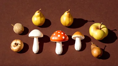 Assorted Decorative Mushrooms And Fruit On Brown Background
