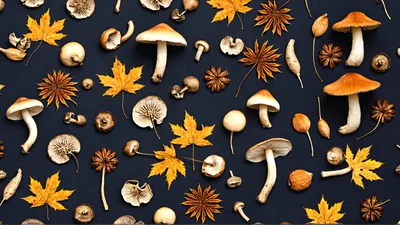 Autumnal Mushroom And Maple Leaf Flat Lay Pattern