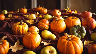 Assorted Pumpkins and Pears on Dark Fabric