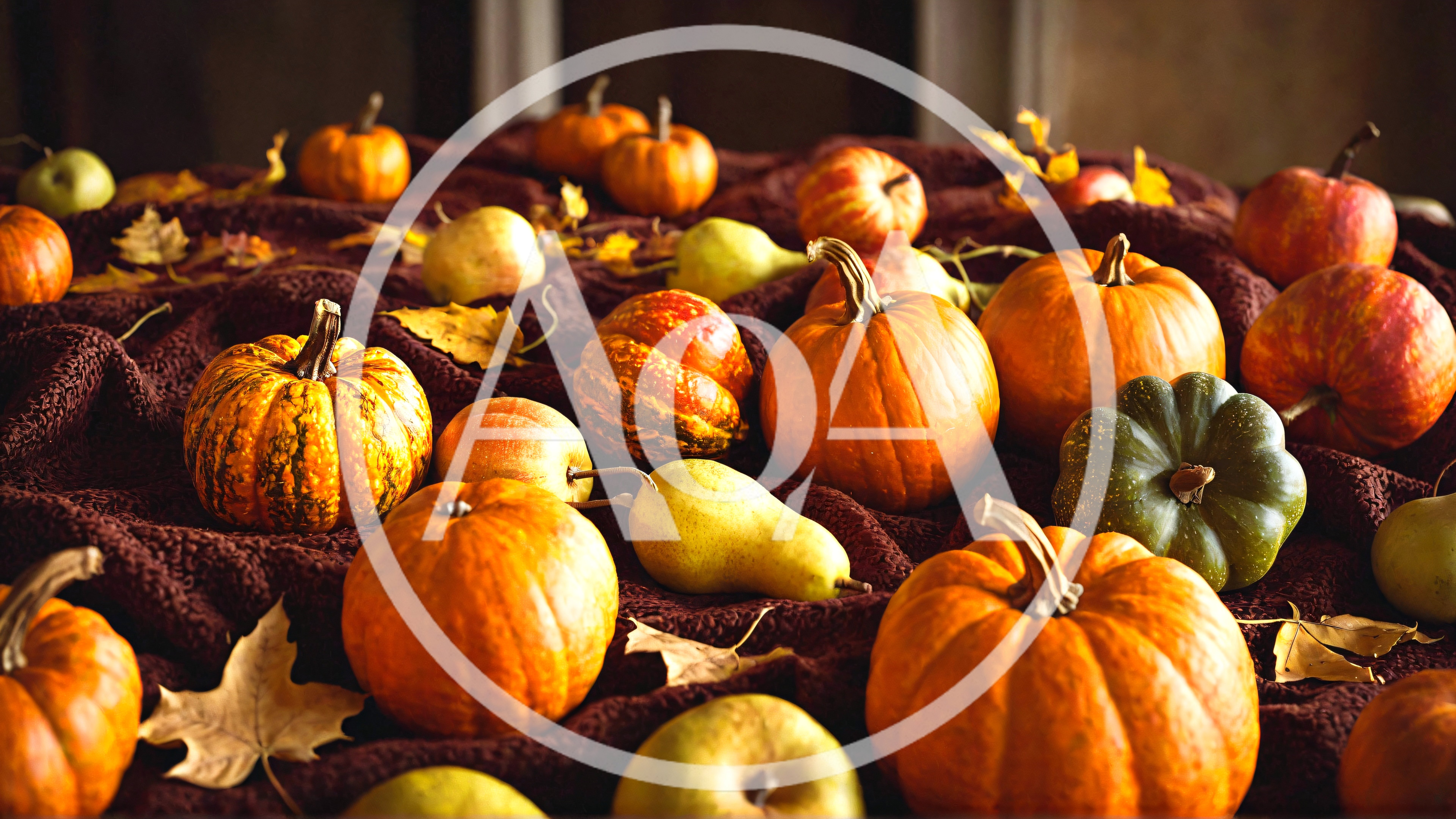 Assorted Pumpkins and Pears on Dark Fabric