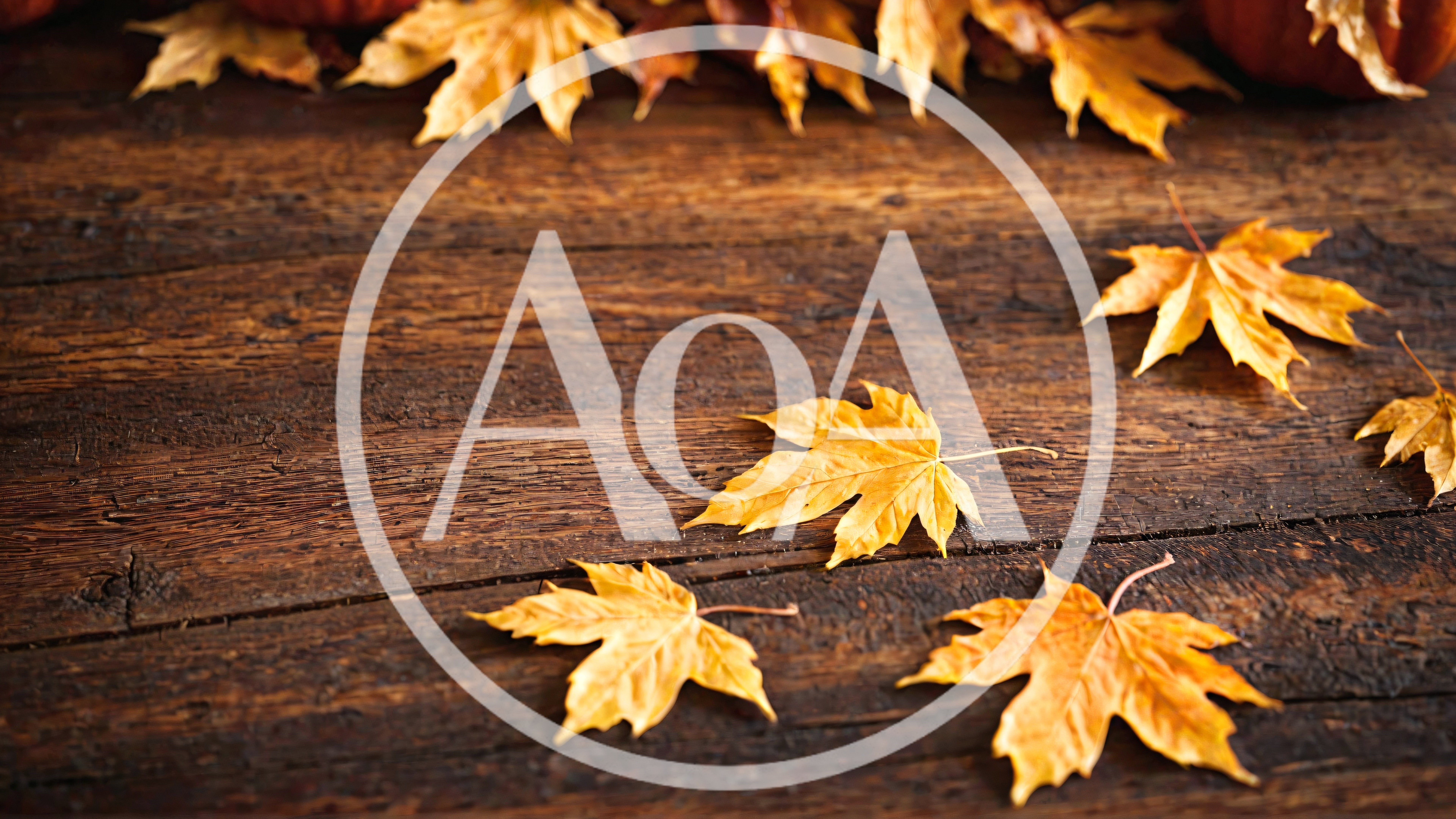 Yellow Maple Leaves Scattered On Rustic Wooden Table