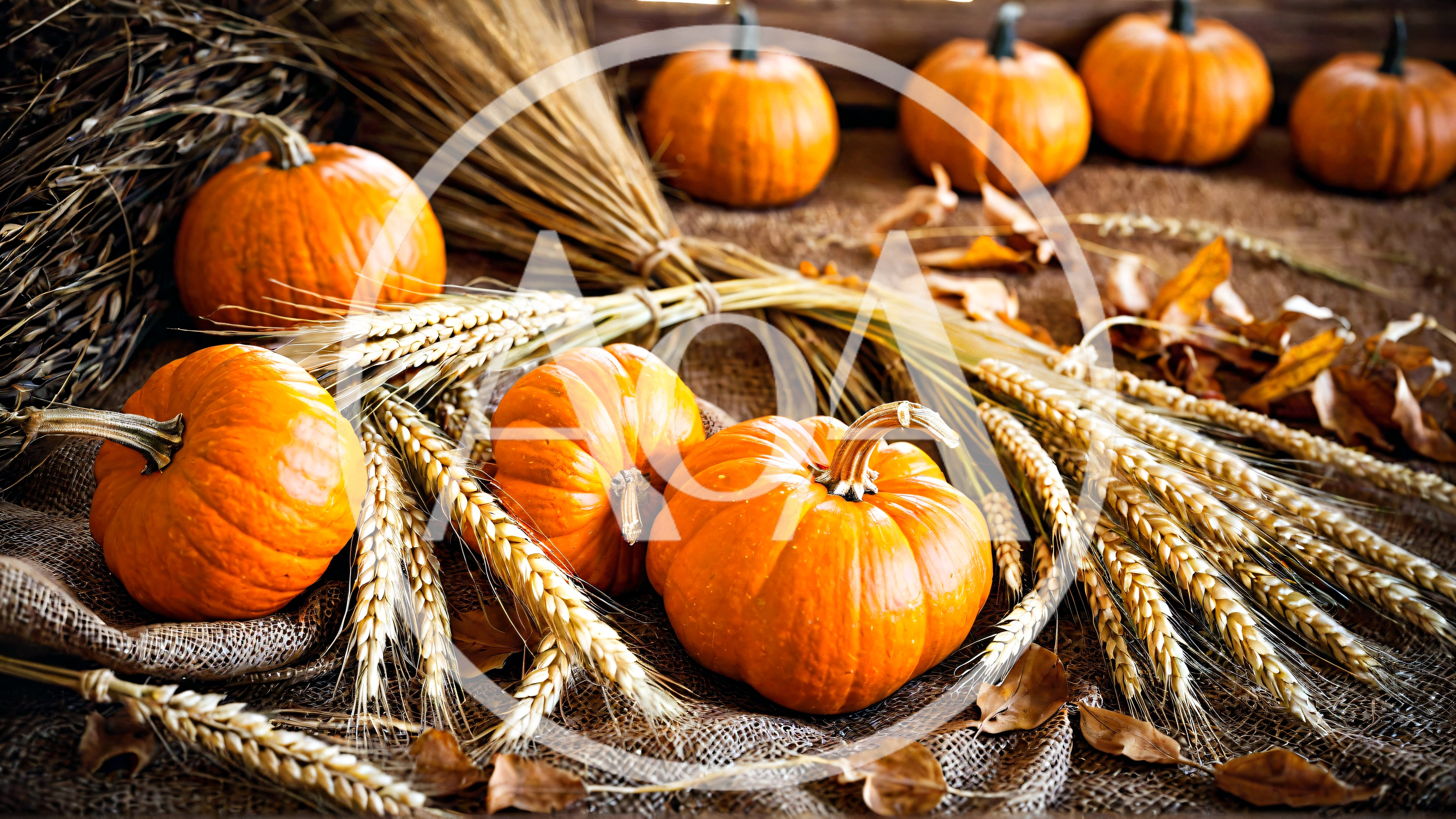 Autumn Harvest Display With Pumpkins And Wheat