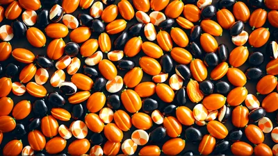 Top Down View Of Scattered Orange And Black Beads