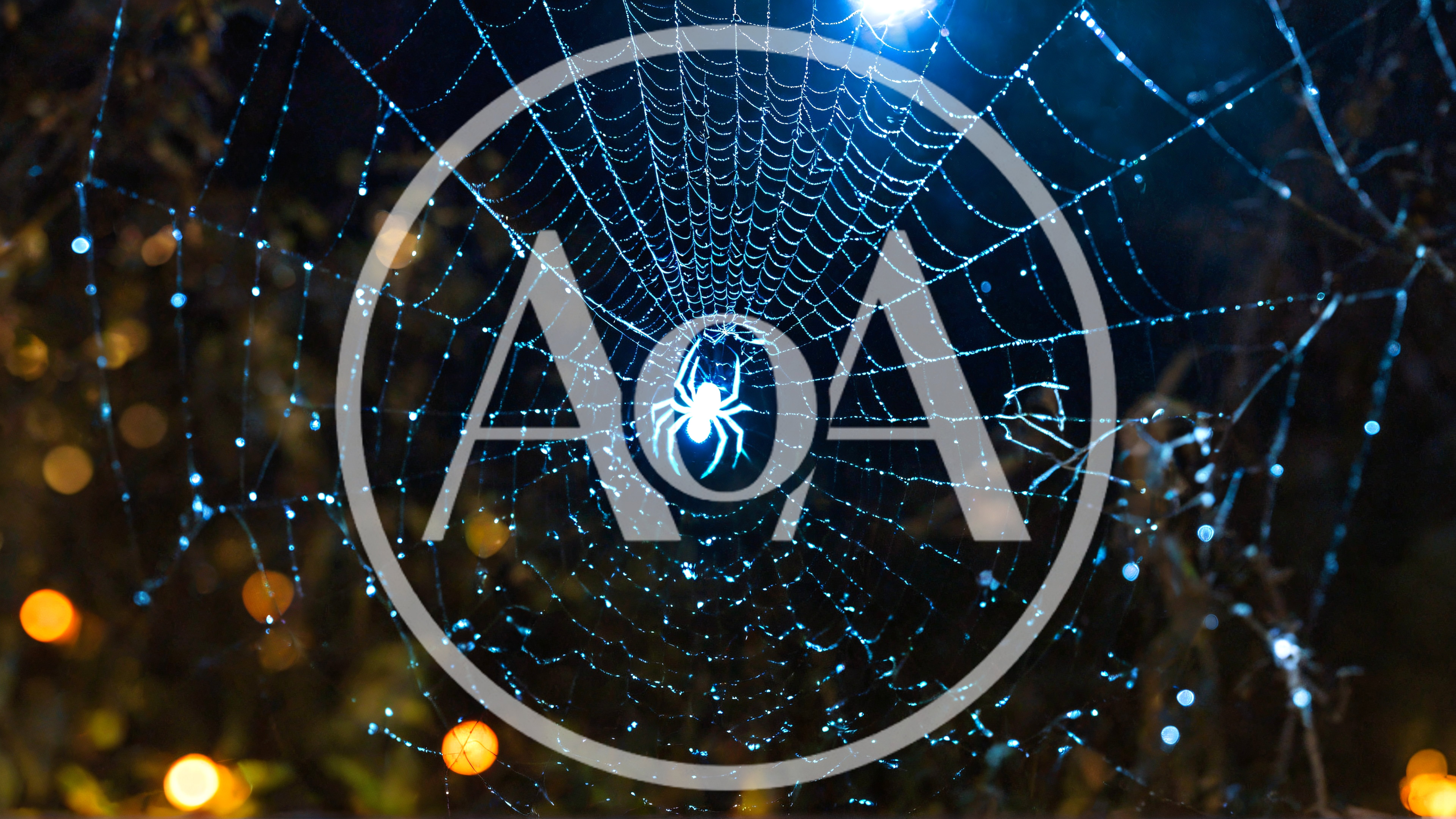 Spider Sitting In The Center Of A Dewy Web