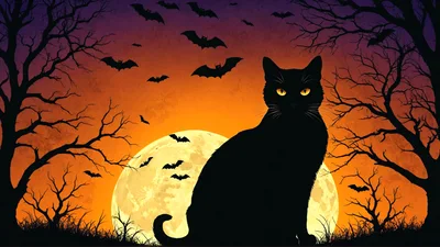 Black Cat Silhouette Against Full Moon Halloween Background