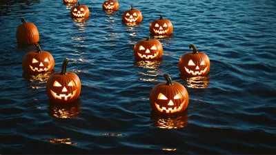 Jack O Lantern Pumpkins Floating On Dark Water