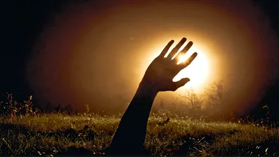 Human Hand Reaching Out From Underground At Sunset