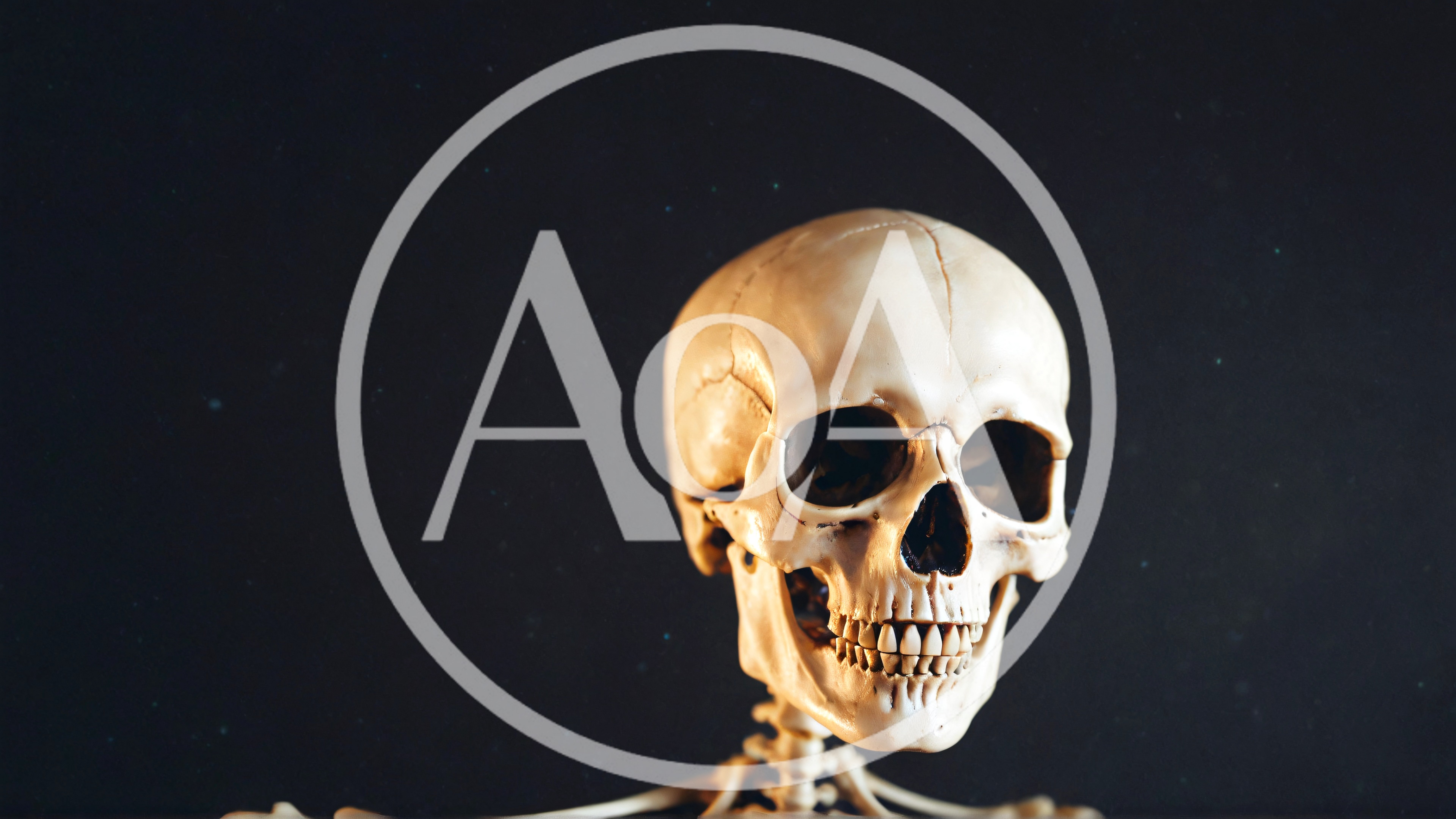 Human Skeleton Skull Against Dark Background