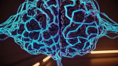 Digital Human Brain Model With Glowing Neural Network Connections