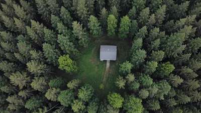 Aerial View Of A Small House In The Forest
