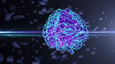 Digital Human Brain Rotating In Abstract Cyberspace