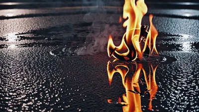 Burning Dollar Sign Symbol On Wet Asphalt Surface