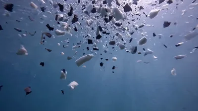 Underwater View Of Plastic Waste Floating In Ocean