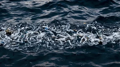 Plastic Waste Floating In The Ocean Surface