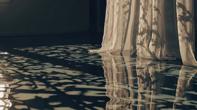 Sunlight Casting Tree Shadows On Rippling Indoor Water Surface