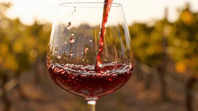 Red Wine Pouring Into Glass In Vineyard