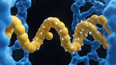 Molecular Chain Reaction Forming Nanostructure Spheres