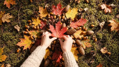 Woman Placing Red Maple Leaf On Autumn Forest Floor