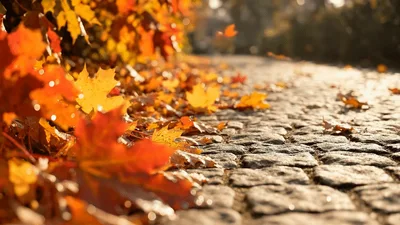 Autumn Maple Leaves Falling On Cobblestone Path