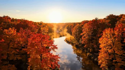 Aerial View Of A Misty River In Autumn Forest