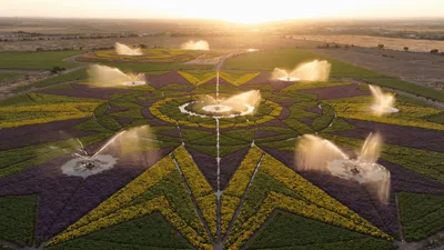 Aerial View Of Large Flower Field Irrigation System