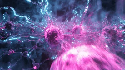 Abstract Neural Network Processing Data Signals