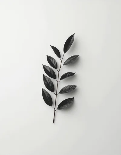 Minimalist Black Leaf Branch On White Background
